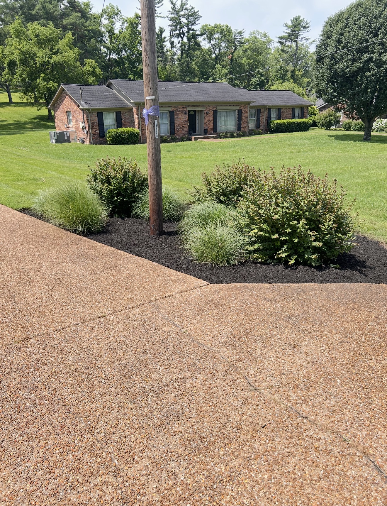 Mulched island bed with ornamental grasses and shrubs near a driveway